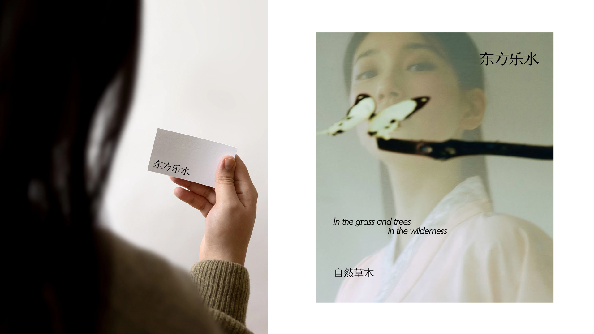 东方乐水｜植物水品牌形象设计