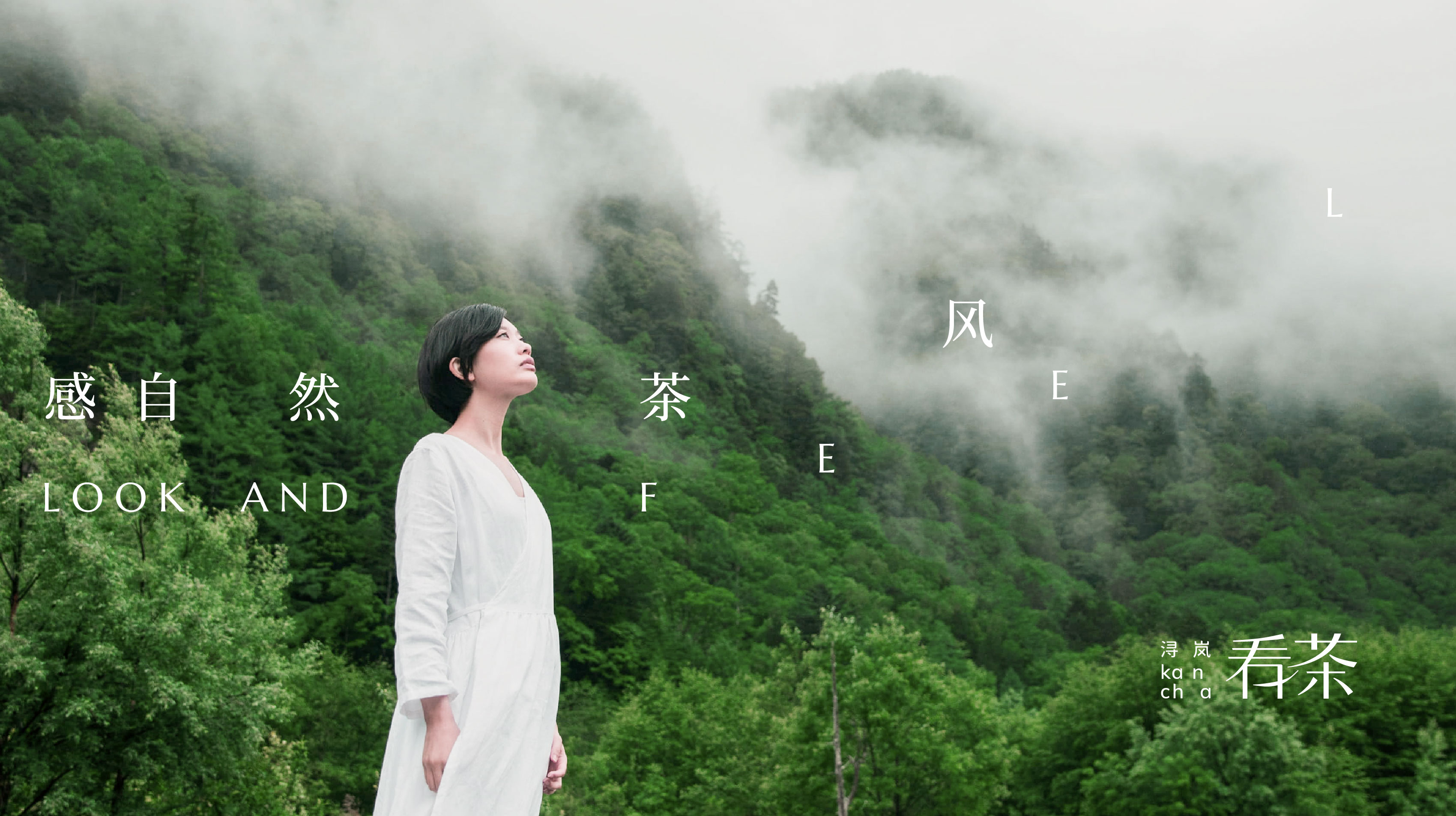 SeeTea看茶｜喝一杯好茶让心灵出走